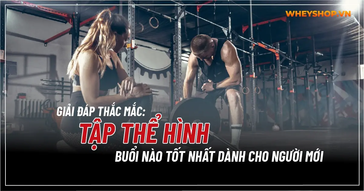 Giải đáp thắc mắc: Tập thể hình buổi nào tốt nhất dành cho người mới
