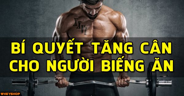 Bí quyết tăng cân cho người biếng ăn chán ăn hiệu quả bảo đảm thành công