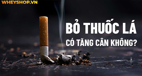 Giải đáp thắc mắc: Bỏ thuốc lá có tăng cân không?