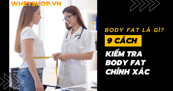 Body Fat là gì? Hướng dẫn 9 cách kiểm tra Body Fat chính xác