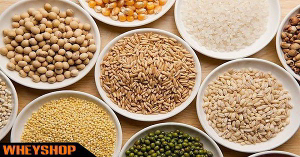 Cách chọn và sử dụng bột ngũ cốc tăng cân cho người tập thể hình