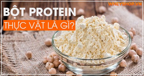Bột protein thực vật là gì? Lợi ích của bột protein thực vật với sức khoẻ