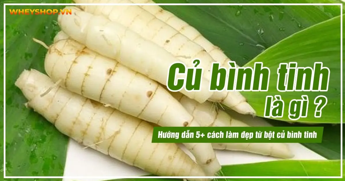 Củ bình tinh là gì ? Hướng dẫn 5+ cách làm đẹp từ bột củ bình tinh