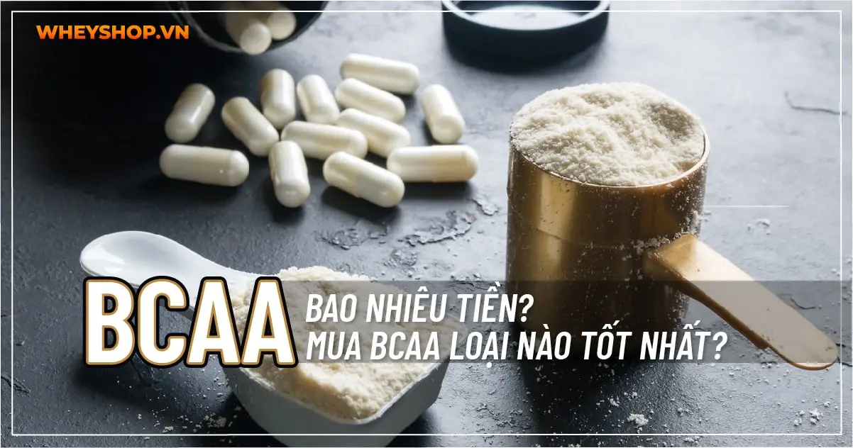 BCAA bao nhiêu tiền? Mua BCAA loại nào tốt nhất?