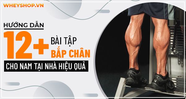 Hướng dẫn 12+ bài tập bắp chân cho nam tại nhà hiệu quả nhất