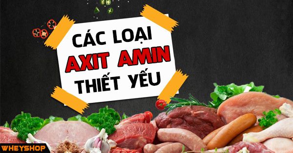 9 loại axit amin thiết yếu gồm những loại nào