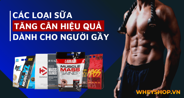 Top 7 sữa tăng cân hiệu quả cho người gầy