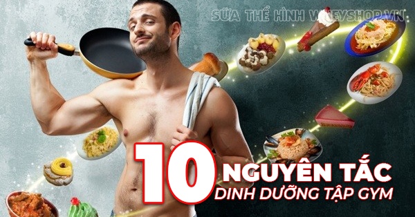 Các nguyên tắc dinh dưỡng tập gym cho người mới tập thể hình