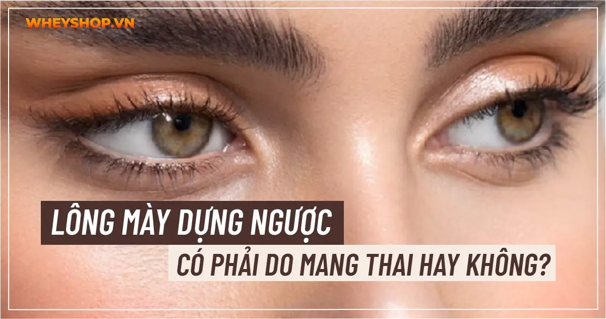 Lông mày dựng ngược có phải do mang thai hay không?