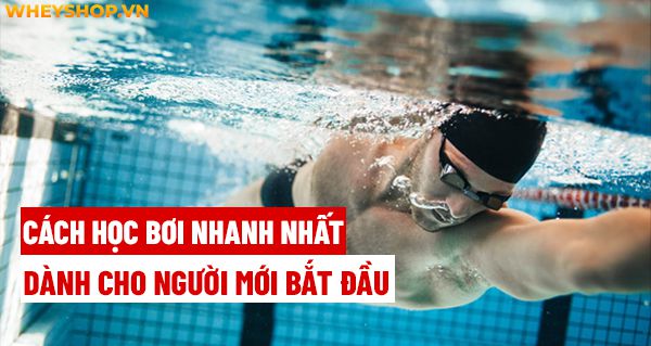 Cách học bơi nhanh nhất dành cho người mới bắt đầu