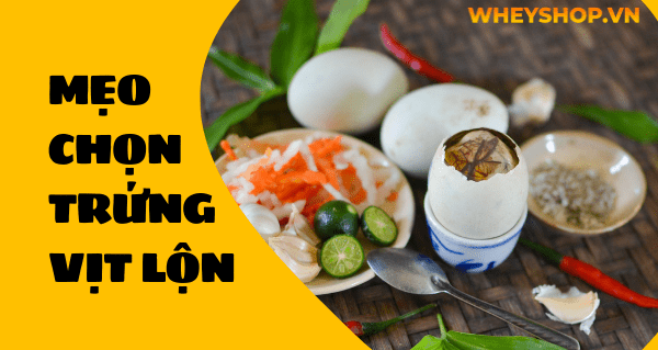 Mẹo chọn trứng vịt lộn ngon và cách luộc trứng vịt lộn không nứt vỡ