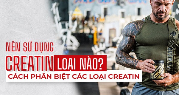 Nên sử dụng Creatine loại nào? Cách phân biệt các loại Creatine