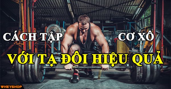 Cách tập cơ xô với tạ đôi