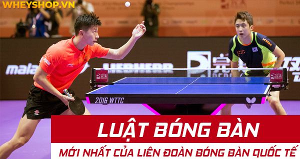 CẬP NHẬT: Luật bóng bàn mới nhất của Liên đoàn bóng bàn quốc tế