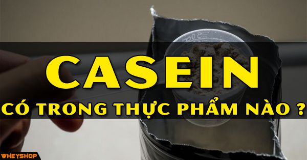 Protein Casein là gì? Casein có trong thực phẩm nào?
