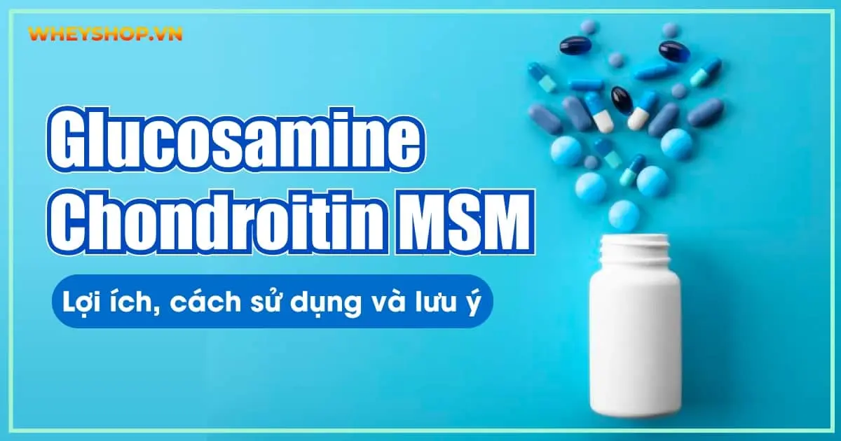 Glucosamine Chondroitin MSM : Lợi ích, cách sử dụng và lưu ý
