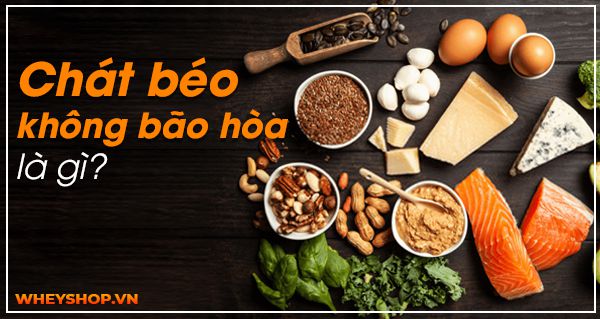 Chất béo không bão hòa là gì? Chất béo không bão hòa có trong những loại thực phẩm nào?