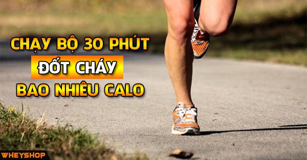 Chạy bộ 30 phút đốt cháy bao nhiêu calo