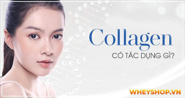 Collagen có tác dụng gì? Cần làm gì để bổ sung collagen