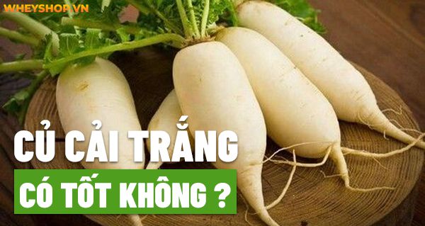 Củ cải trắng có tốt không? Lợi ích, cách sử dụng phù hợp