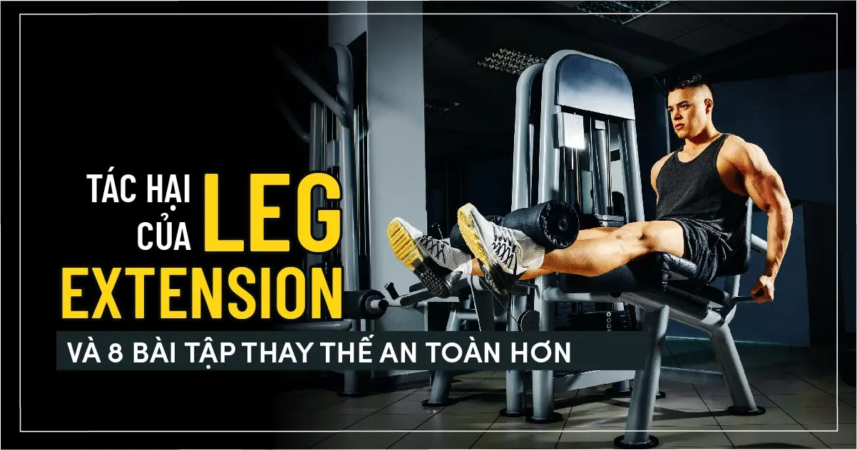 Tác hại của Leg Extension và 8 bài tập thay thế an toàn hơn