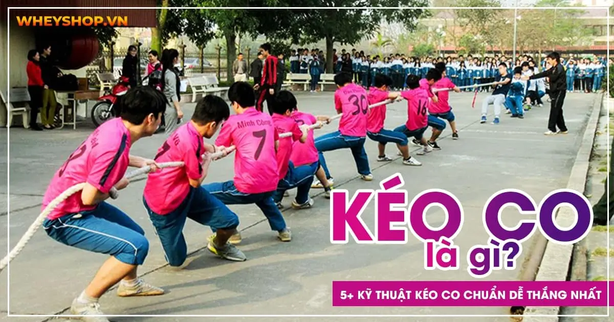 Chơi kéo co là gì? Hướng dẫn 5+ kỹ thuật kéo co chuẩn dễ thắng nhất