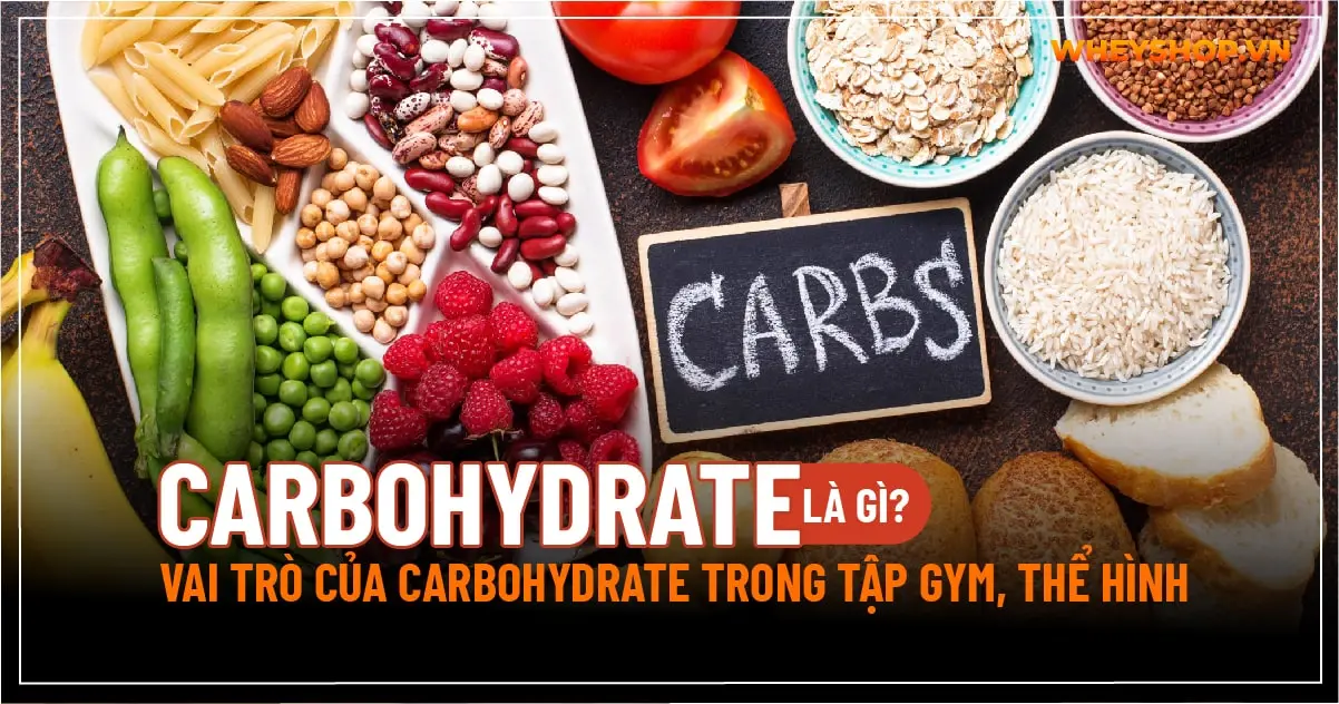 Carbohydrate là gì? Vai trò của Carbohydrate trong tập gym, thể hình