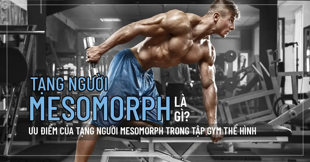 Tạng người Mesomorph là gì? Ưu điểm của tạng người Mesomorph trong tập gym thể hình