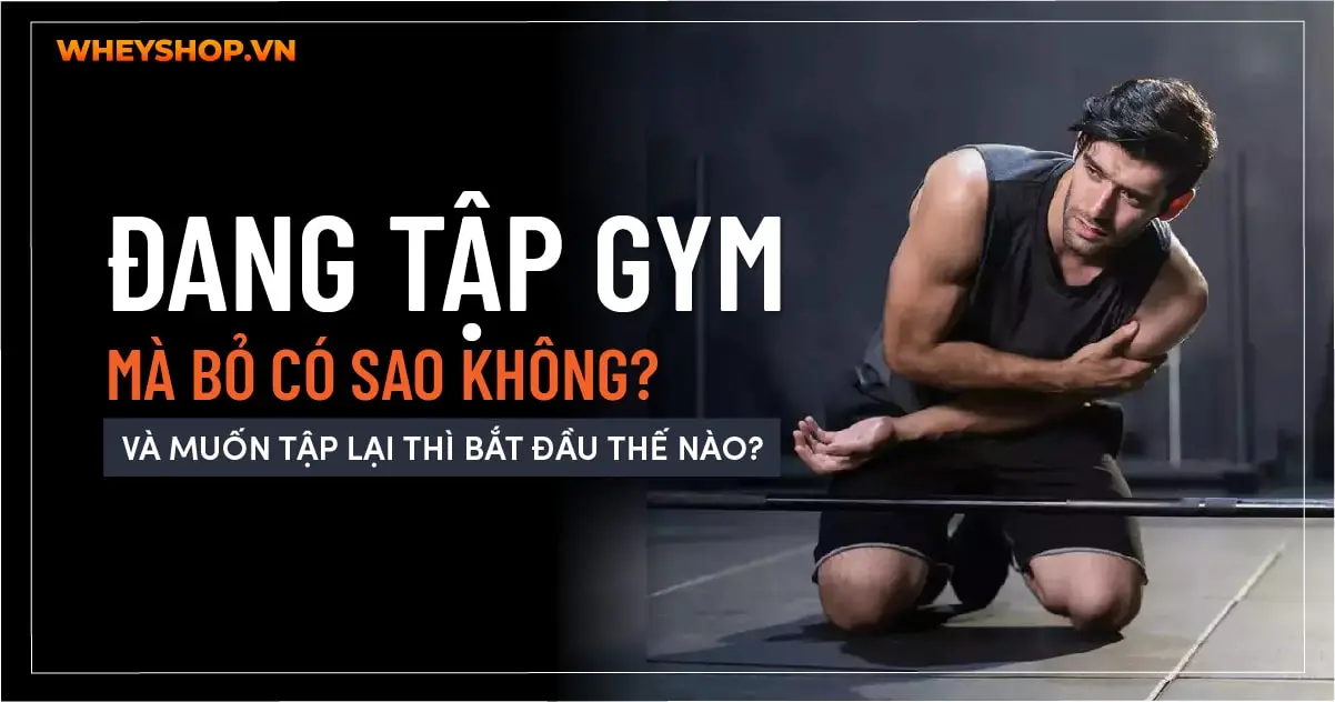 Đang tập gym mà bỏ có sao không? Và muốn tập lại thì bất đầu thế nào?