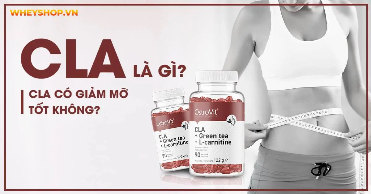 CLA là gì? CLA có giảm mỡ tốt không?