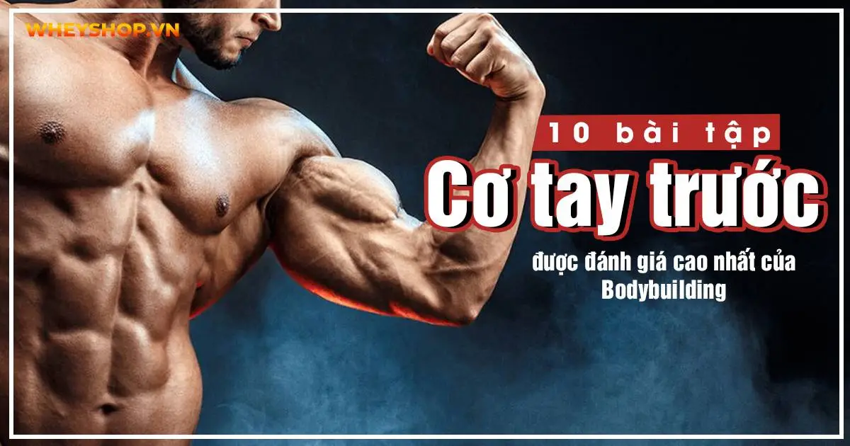 10 bài tập cơ tay trước được đánh giá cao nhất của Bodybuilding