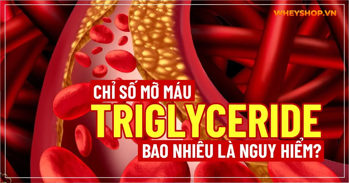 Chỉ số mỡ máu Triglyceride bao nhiêu là nguy hiểm?