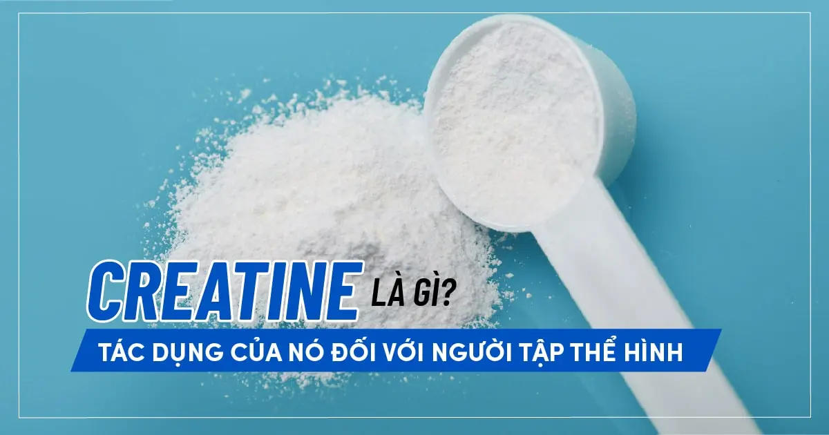 Creatine là gì? Tác dụng của nó đối với người tập thể hình