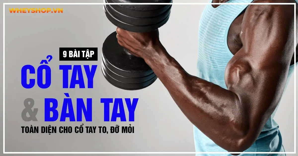 9 bài tập cổ tay và bàn tay toàn diện cho cổ tay to, đỡ mỏi