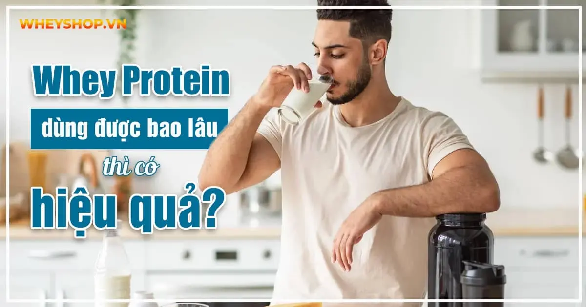 Whey Protein dùng được bao lâu thì có hiệu quả?