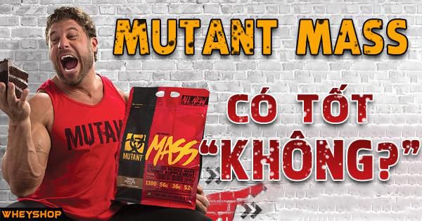 Đánh giá Mutant Mass có tốt không và cách sử dụng Mutant Mass hiệu quả