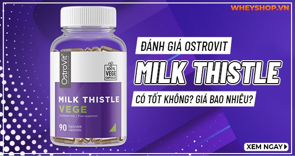 Review đánh giá Ostrovit Milk Thistle có tốt không? Giá bao nhiêu?