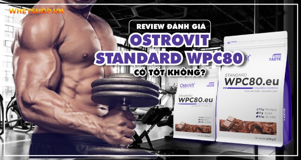 Ostrovit Standard WPC80 có tốt không? 