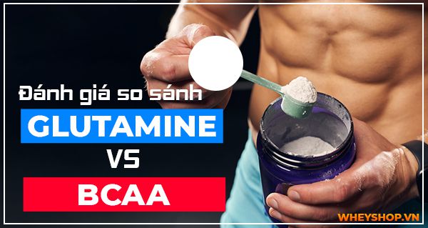 Đánh giá & so sánh Glutamine và BCAA: nên chọn loại nào?