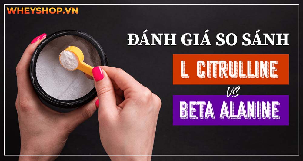 Đánh giá so sánh L-Citrulline và Beta Alanine, Gymer nên chọn gì?