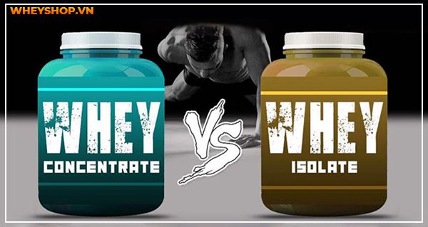 So sánh Whey Concentrate và Isolate, loại nào tốt hơn?