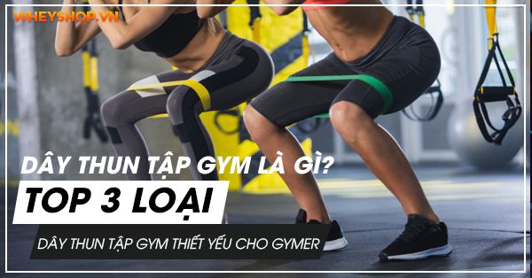 Dây thun tập gym là gì? TOP 3 loại dây thun tập gym thiết yếu cho gymer