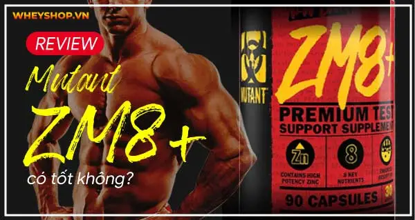 Review đánh giá Mutant ZM8+ có tốt không? Mua ở đâu uy tín nhất?