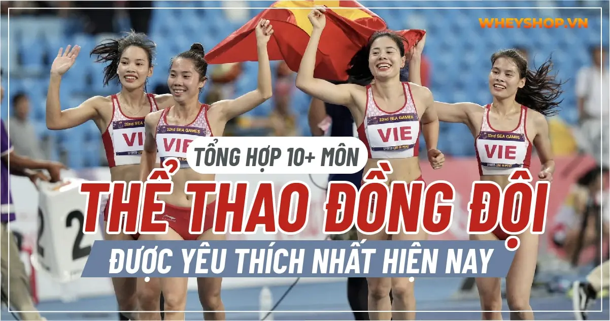 Tổng hợp 10+ môn thể thao đồng đội được yêu thích nhất hiện nay