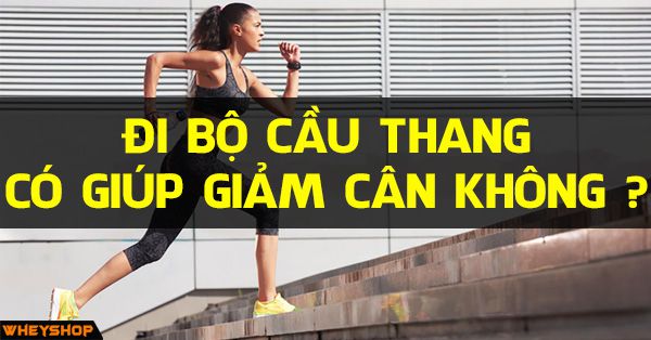 Chạy bộ đi bộ leo cầu thang có giúp giảm cân giảm mỡ bụng không?