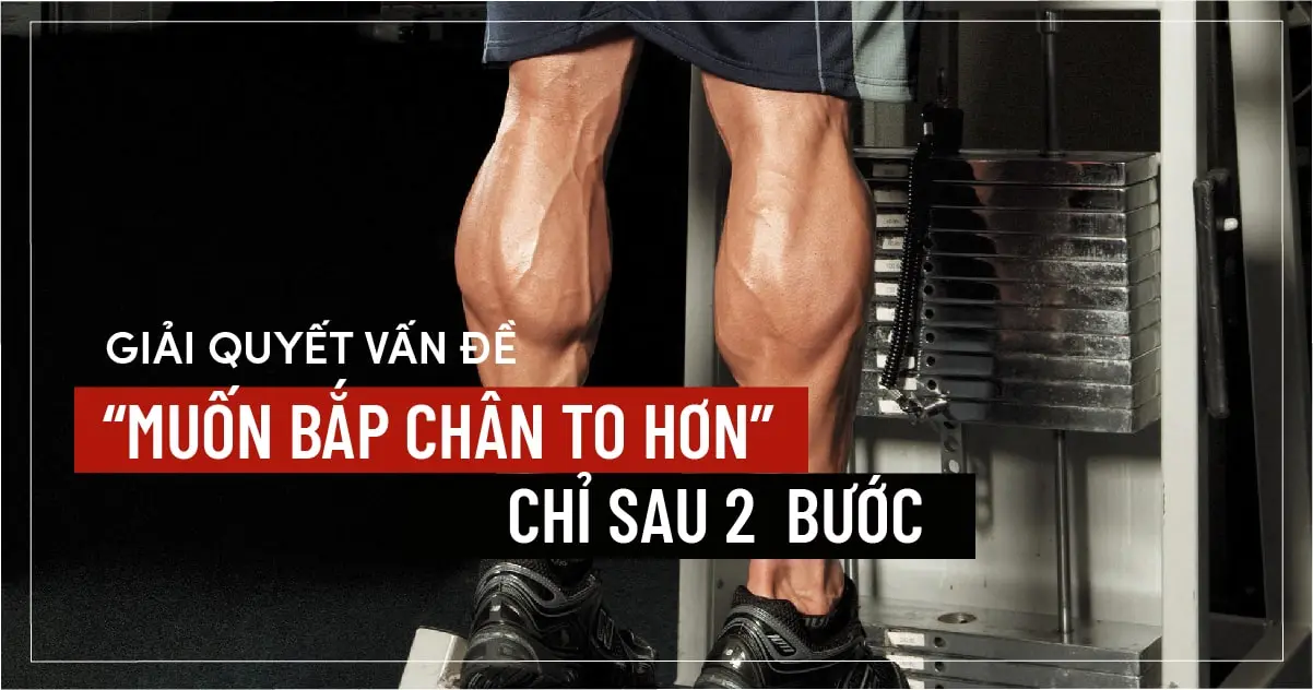 Giải quyết vấn đề ” Muốn bắp chân to hơn ” chỉ sau 2 bước