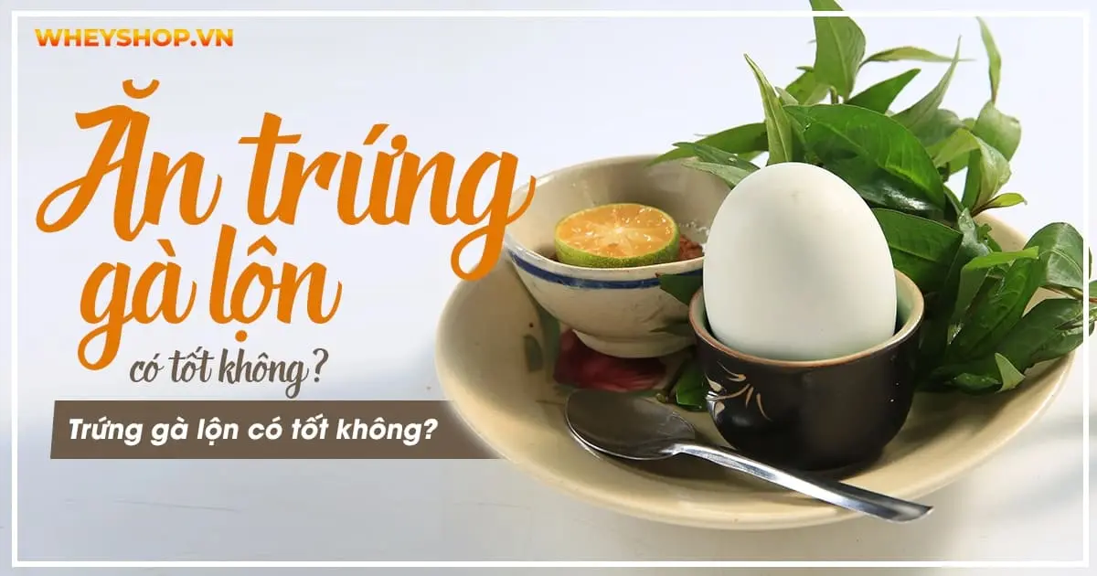 Ăn trứng gà lộn có tác dụng gì? Trứng gà lộn có tốt không?