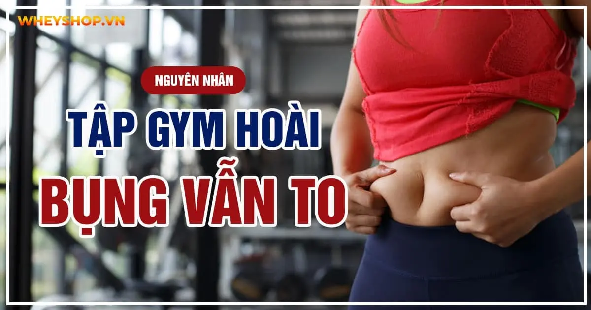 Nguyên nhân tập bụng mà không hiệu quả