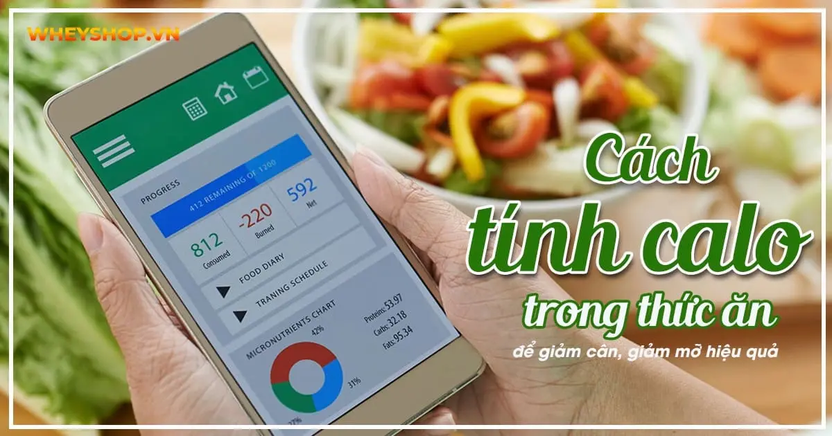 Cách tính calo trong thức ăn để giảm cân, giảm mỡ hiệu quả