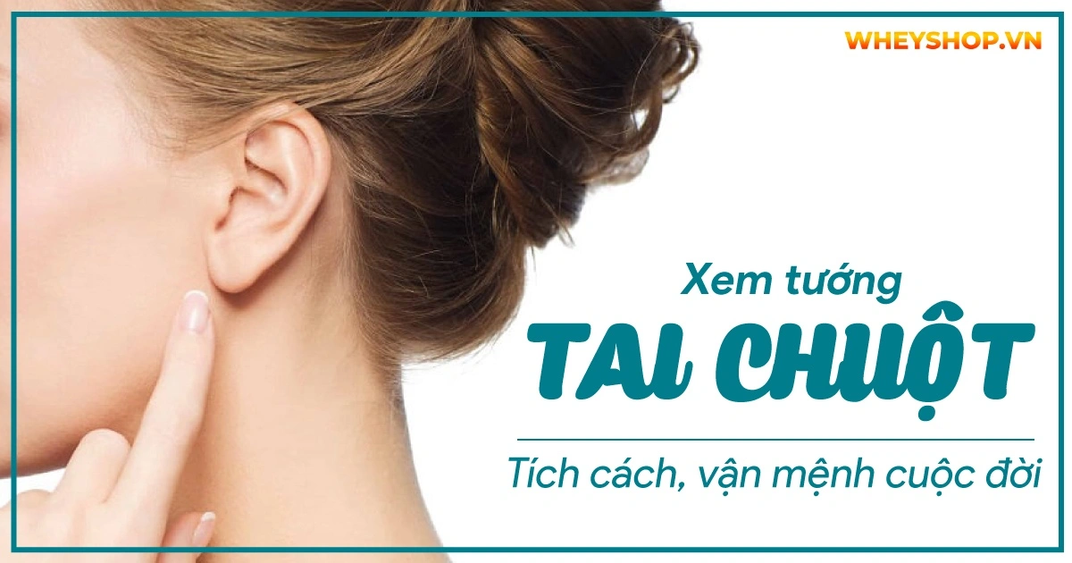 Xem tướng tai chuột: Tích cách, vận mệnh cuộc đời